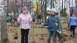 Коллектив администрации Урмарского района принял участие в акции по посадке деревьев