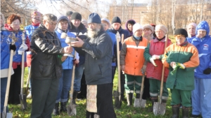 г. Новочебоксарск: высажены молодые деревья