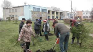 Посадка деревьев возле Межпоселенческого КДЦ с. Янтиково