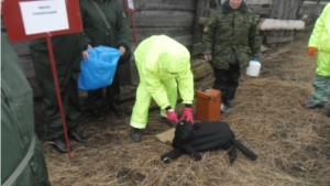 Командно-штабная тренировка по теме: «Организация мероприятий по ликвидации очага сибирской язвы на территории Козловского района Чувашской Республики»