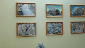 «Зимняя сказка Юрия Долгова» - выставка фотографий в Ядринской центральной библиотеке