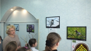 В национальном парке «Чаваш вармане» открылась фотовыставка «Птицы Красной книги Чувашии»