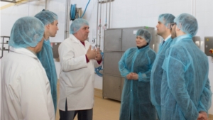Заместитель директора Департамента особых экономических зон и проектов регионального развития Министерства экономического развития Российской Федерации Александр Шацкий посетил с рабочим визитом г.Канаш