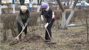 День санитарной культуры в Алатыре