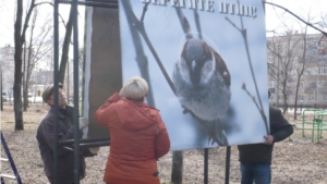 В городском парке культуры и отдыха продолжаются работы по благоустройству территории