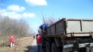 На субботники вышли сотрудники ОАО «АТП-6» и члены ТОС «Юраковский» и ТОС «Восточный»