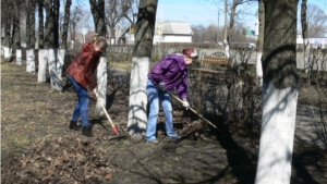 День санитарной культуры в Алатыре