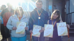 В Козловку привезли очередные медали с чемпионата по зимнему плаванию