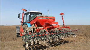В КФХ М.Л.Тагеева Мариинско-Посадского района приступили к севу яровой пшеницы