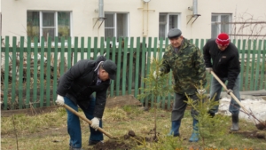 День дерева в Янтиковском районе