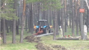 В Шумерлинском лесничестве прошли учения по тушению лесных пожаров