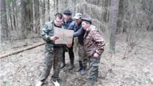 В Ибресинском лесничестве ведется подготовка к проведению лесоустроительных работ