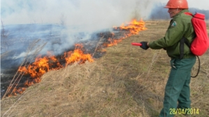 В КУ «Мариинско-Посадское лесничество» Минприроды Чувашии проводятся мероприятия по профилактике возникновения лесных пожаров