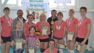 Волейбол памяти В.Г. Васильева