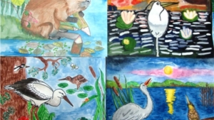 Конкурс детских рисунков «Заповедные водоемы и их обитатели»