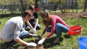 В рамках Всероссийского дня посадки леса прошла социальная акция «Весенняя посадка»