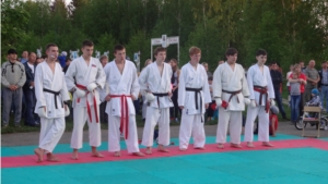 Открытый турнир Красноармейского района по каратэ-до среди юношей 16-17 лет