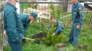 Сотрудники отделения надзорной деятельности по Шемуршинскому району поддержали акцию «Всероссийский день посадки леса».