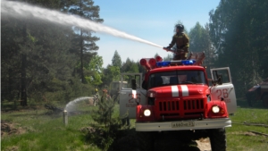 Тактико-специальные учения по тушению лесного пожара
