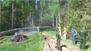 В Алатырском лесничестве проведены тактико-специальные учения по тушению лесных пожаров
