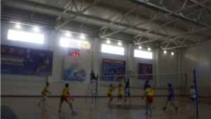 Лидируют волейболисты из Моргаушского и Красноармейского районов
