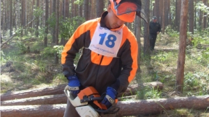 VII Республиканский конкурс профессионального мастерства на звание «Лучший вальщик леса-2014» (I этап)