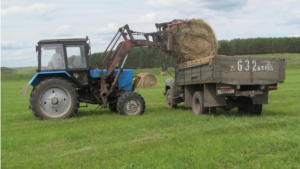 В хозяйствах района продолжается кормозаготовка.