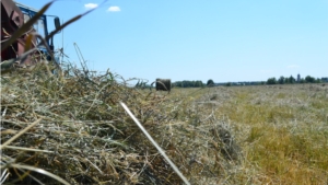 В Поречье ведется заготовка кормов