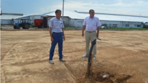 Реконструкция коровников