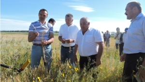 М.В.Игнатьев в Яльчикском районе знакомится с ходом уборки урожая (ООО"Победа")