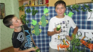 День огурца по-ядрински