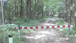 В Мариинско-Посадском лесничестве приняты меры по усилению охраны лесов от пожаров