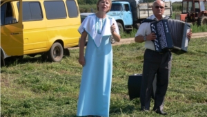 Звучат песни на полях района в честь тружеников полей