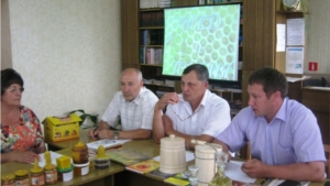 В Урмарской центральной библиотеке состоялся медово-книжный фестиваль "Все о пчелах и не только" и семинар-совещание пчеловодов района