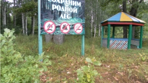 В Мариинско-Посадском лесничестве проводятся мероприятия по благоустройству в рамках акции «Зеленая Россия»