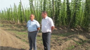 Заместитель министра сельского хозяйства Чувашской Республикипосетил Цивильский район с рабочим визитом