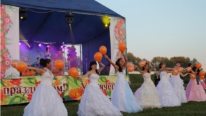 Впервые в Ядрине на день города- парад невест «Невеста прелестна».