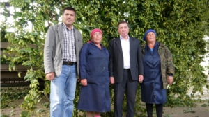 Идёт уборка «зелёного золота»