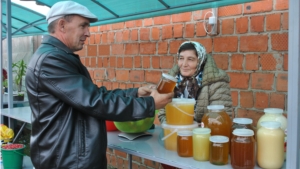 Организация ярмарки по реализации сельскохозяйственной продукции в Шемуршинском районе