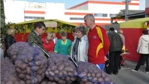 В Новочебоксарске открыли ярмарку сельскохозяйственной продукции «Дары осени-2014»