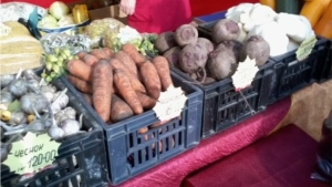 В Новочебоксарск приехали продавать картофель с разных районов республики