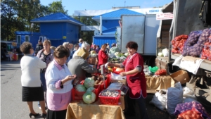 Московский район г. Чебоксары: в минувшие выходные 20 сельхозпроизводителей приняли участие в традиционной ярмарке «Дары осени-2014»