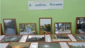 Открытие выставки "Я люблю Яльчики" в МБОУ "Яльчикская СОШ"