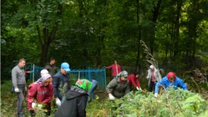 Осенний санитарно- экологический месячник