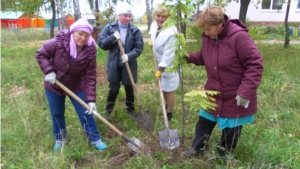 Экологические субботники в БУ «Козловский КЦСОН»