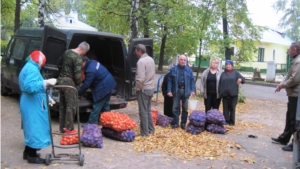 "Дары осени" в поселке Восточный: сельхозпродукция в шаговой доступности особенно необходима пожилым людям