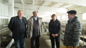 Комиссионные смотры готовности животноводческих ферм к зимовке скота