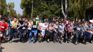 Всероссийский день бега "Кросс нации - 2014"  в Ядринском районе