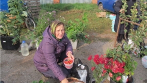 «Дары осени – 2014» - возможность для цивилян осуществить заготовки на зиму овощей по доступным ценам и хорошего качества