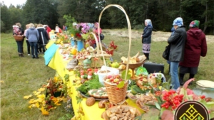Грибной фестиваль в национальном парке «Чаваш вармане»